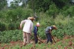 El Gobierno declara de interés nacional el Plan ‘Ñaime Porãvéta’: Un camino estratégico hacia la reducción de la pobreza en el marco del Sistema de Protección Social del Paraguay
